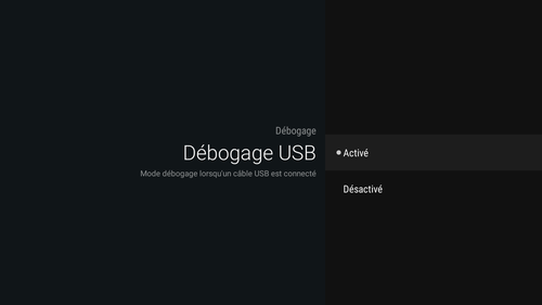TUTO_Activer_le_d%C3%A9bogage_USB_Nexus_